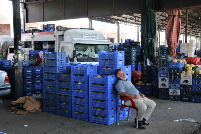 Havaların Isındığı Antalya Halinde Sebze Fiyatları Geçen Haftalara Göre Yarı Yarıya Düştü