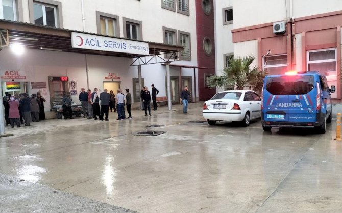 Koyun Otlatırken Üzerine Yıldırım Düşen Vatandaş Yaralandı