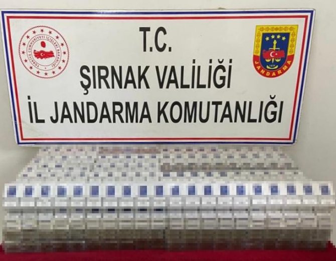Şırnak’ta Kaçakçılık Ve Asayiş Operasyonu: 81 Gözaltı