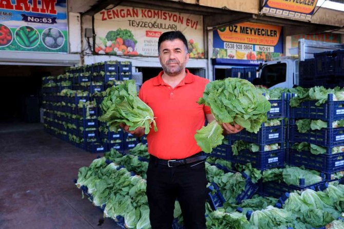 Sebze Ve Meyve Fiyatları Yarı Yarıya Düşecek