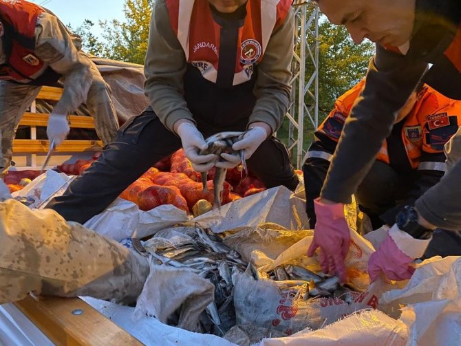 Muradiye’de Kaçak Avlanmış 11 Ton İnci Kefali Ele Geçirildi