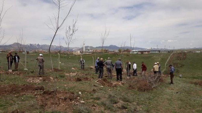 Aşkale’de 3 Bin Fidan Toprakla Buluştu