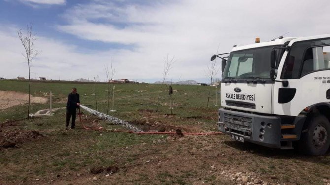 Aşkale’de 3 Bin Fidan Toprakla Buluştu