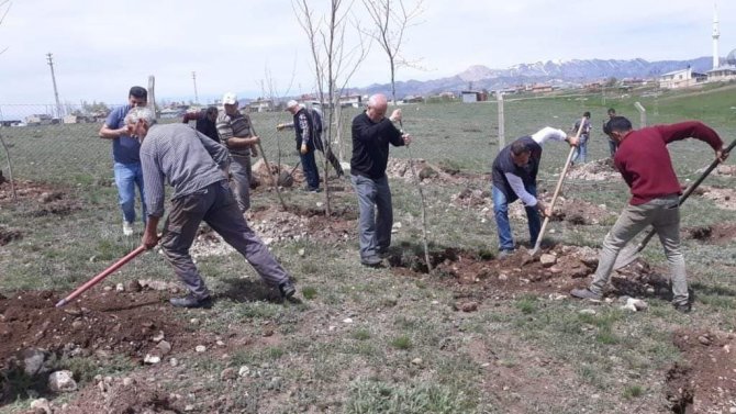 Aşkale’de 3 Bin Fidan Toprakla Buluştu