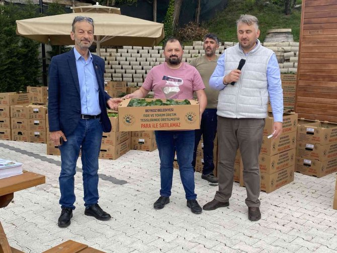 Beykoz’da Hedeflenen 1 Milyon Yerli Ve Milli Fide Dağıtımına Başlandı