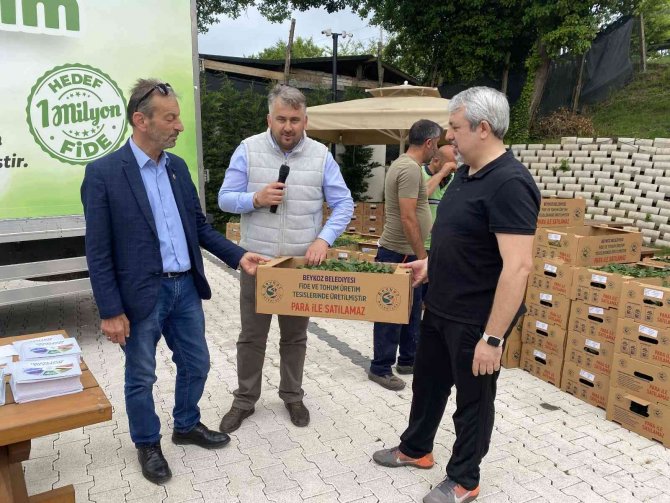 Beykoz’da Hedeflenen 1 Milyon Yerli Ve Milli Fide Dağıtımına Başlandı