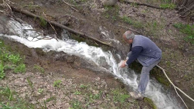 Kar Sularının Erimesiyle Doğa Yeniden Canlandı