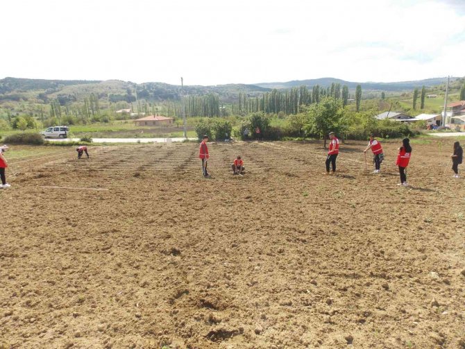 Pazarlar’a Deneme Amaçlı Lavanta Dikildi