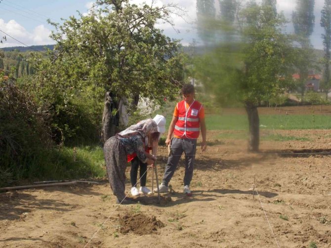 Pazarlar’a Deneme Amaçlı Lavanta Dikildi