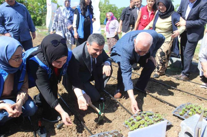 Köylerden Toplanan Ata Tohumları Huzurevi Bahçesine Ekildi