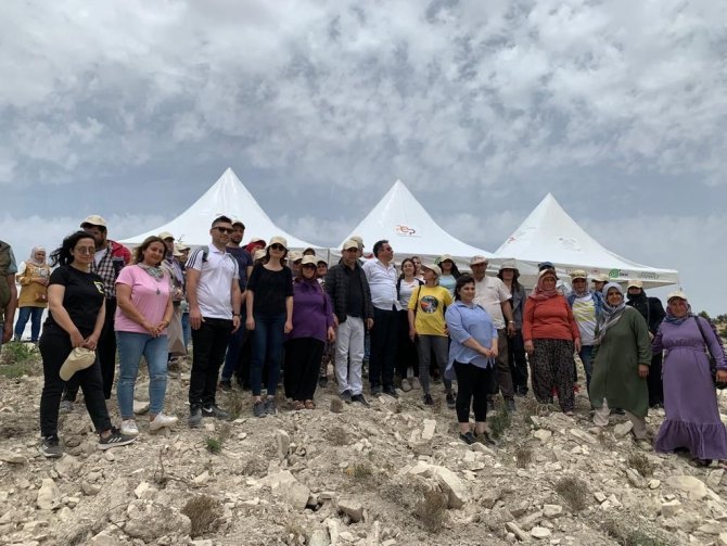 Tarımsal Üretim Alanında İlk ’’Tür Say’’ Etkinliği Yapıldı