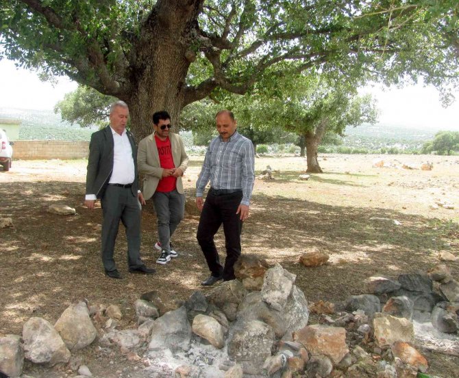 Araban’da ’’Asırlık Ağaç’’ Seferberliği
