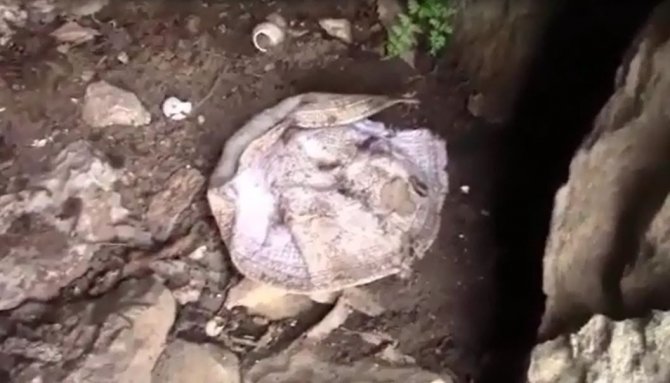 2018’de Öldürülen Şahsın Kemikleri Kato Dağı Eteklerinde Bulundu