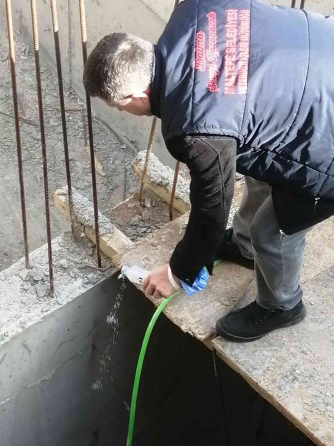 Havalar Isındı, Maltepe’de Sivrisinekle Mücadele Başladı