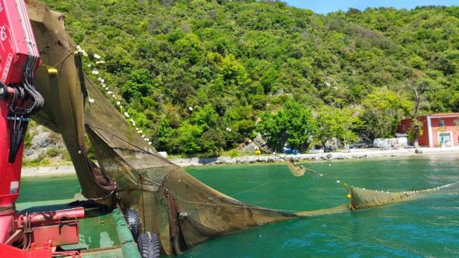 İ̇stanbul Boğazı’nda Balık Avlamak İçin Kaçak Dalyan Kurdular