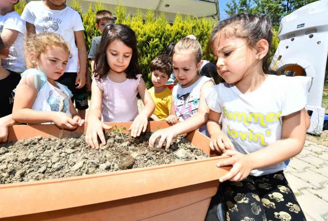 Minikler İçin Tarım Atölyesi