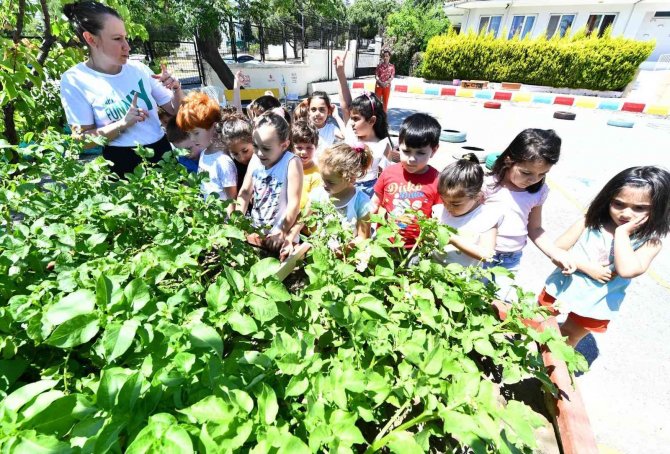 Minikler İçin Tarım Atölyesi