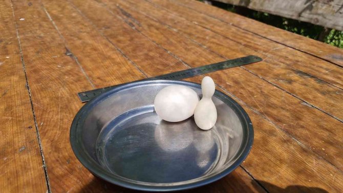 Kümesteki Yumurtayı Görünce Neye Uğradığını Şaşırdı, Hatıra Olarak Saklıyor