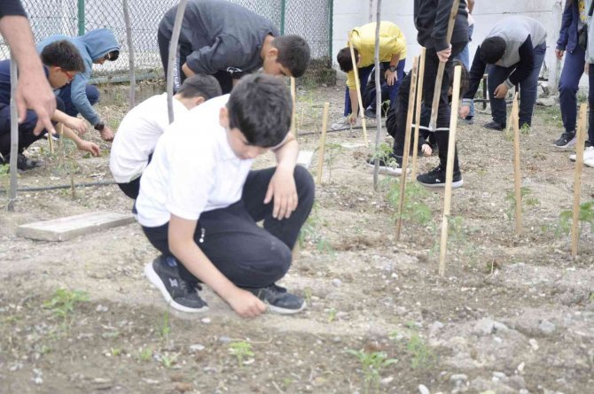 Öğrenciler Ata Tohumunu Geleceğe Taşıyor