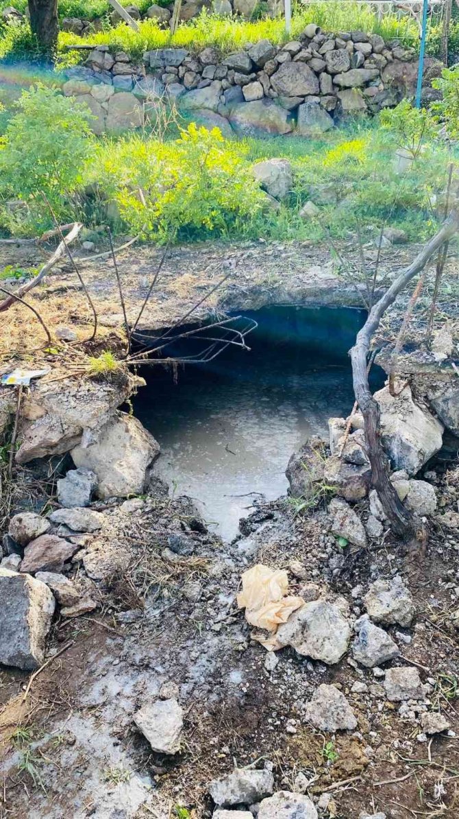 Foseptik Çukuruna Düşen İneği İtfaiye Kurtardı