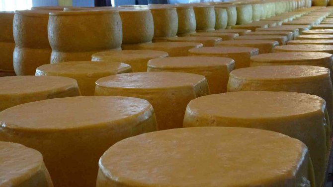 Muş’ta 65 Yıllık Baba Mesleğini Sürdüren Kardeşler Kente Yılda 30 Milyon Lira Katkı Sağlıyor