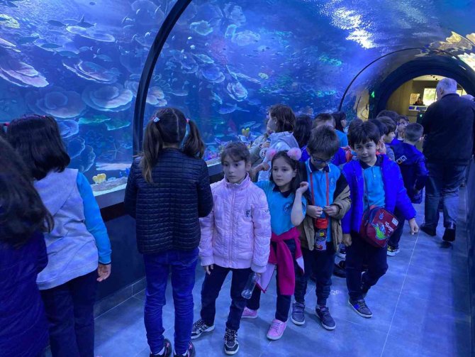 Trabzon Akvaryum’a Ziyaretçi Akını