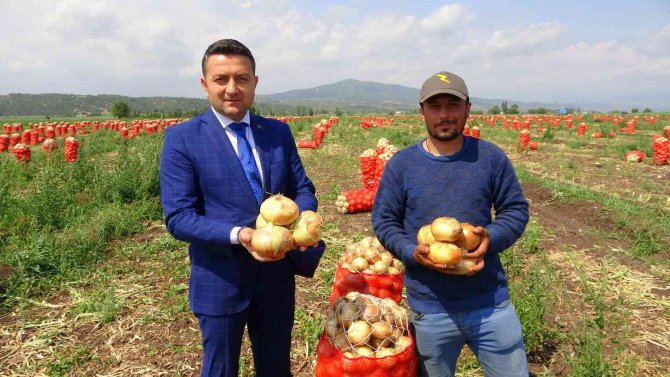 Soğan, Fiyatıyla Çiftçinin Yüzünü Güldürüyor
