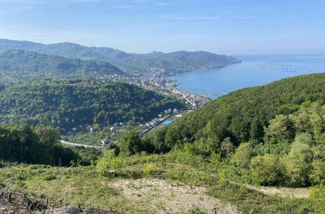 40 Yıllık Çileyi 3 Yılda Bitirdi