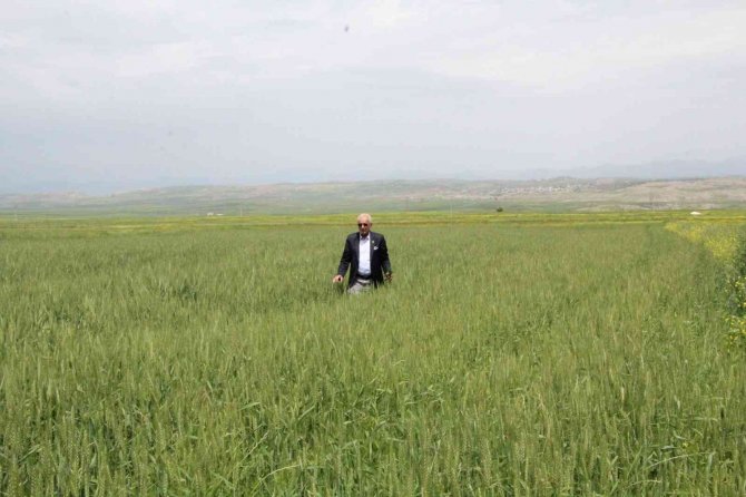 Siirtli Çiftçiler Rekor Düzeyde Ürün Bekliyor