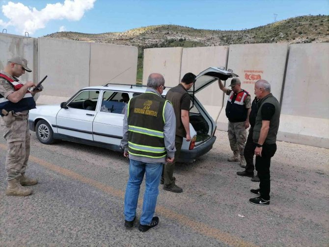 Siirt’te Kaçak Avlananlara Yönelik Denetim Yapıldı