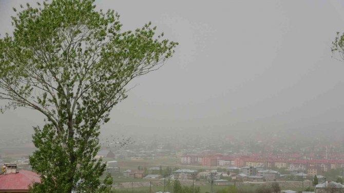 Van Toz Bulutuyla Kaplandı