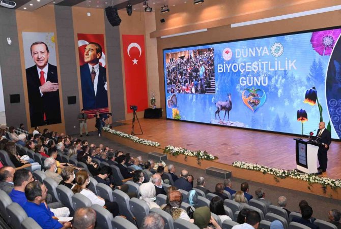 Bakan Kirişçi: “En Son 1974’te Görülen Anadolu Leoparı Tekrar Görüldü"