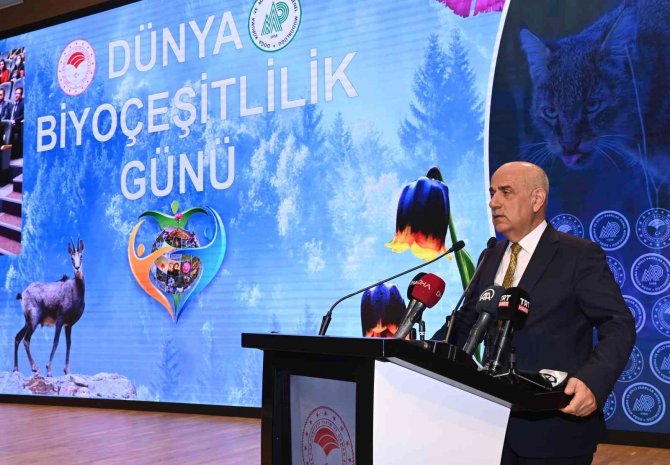 Bakan Kirişçi: “En Son 1974’te Görülen Anadolu Leoparı Tekrar Görüldü"