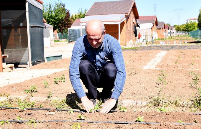 Tepebaşı’nda 10 Bine Yakın Fide Toprakla Buluştu