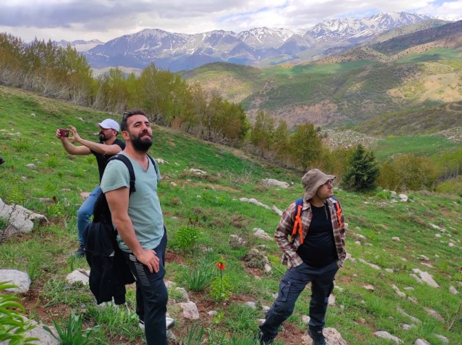 Tunceli’de Ters Lale İçin Turlar Düzenleniyor