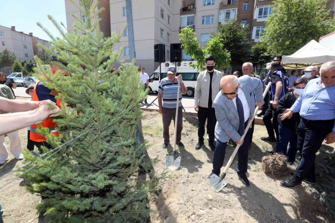 Yenimahalle’de Ağaç Dikim Töreni