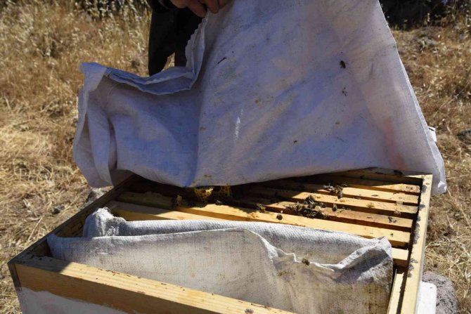 Bal Üreticisi Dağıtılan Kovanlardan Memnun