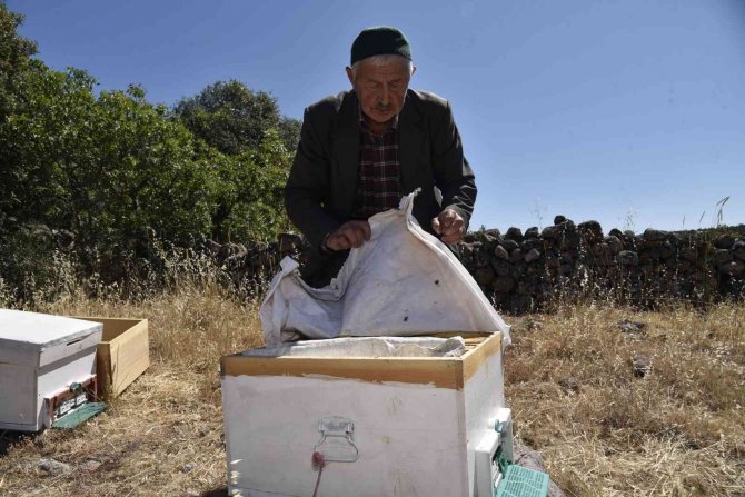 Bal Üreticisi Dağıtılan Kovanlardan Memnun