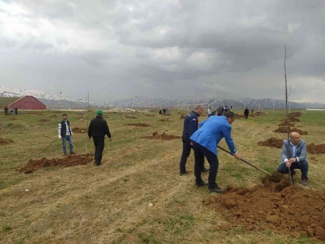 Ceza İ̇nfaz Kurumunda Fidan Dikim Etkinliği