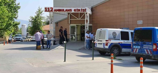 Dayı Ve Yeğenin Zeytin Ağacı Kavgasında Kan Aktı
