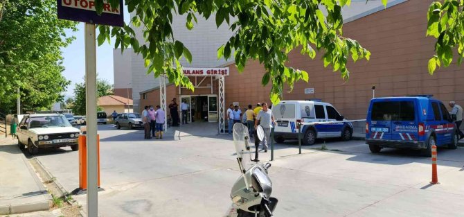 Dayı Ve Yeğenin Zeytin Ağacı Kavgasında Kan Aktı