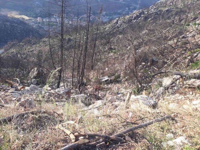 35 Metrelik Uçuruma Yuvarlanan Otomobilden Sağ Kurtuldular
