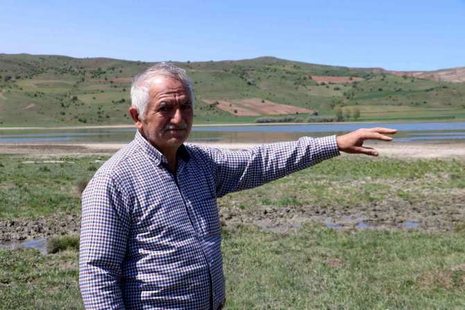 Çöle Dönen Kuş Cenneti Eski İhtişamına Kavuştu