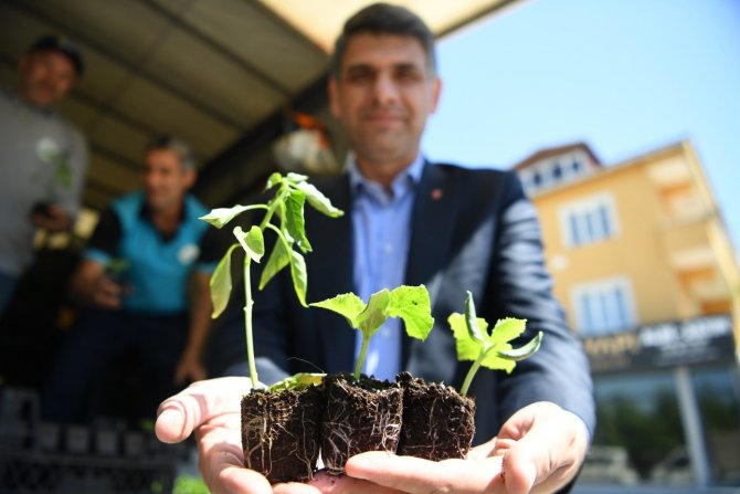 Kartepe’de 123 Bin Fide Toprakla Buluştu