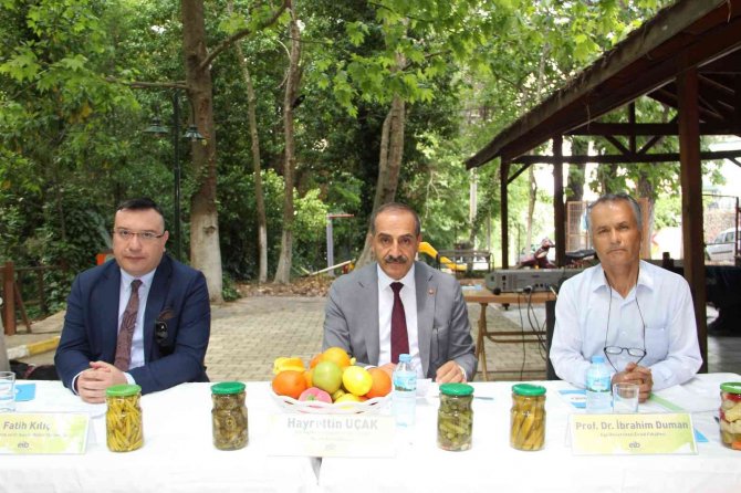 Kornişon İhracatında Hedef, 200 Milyon Dolar