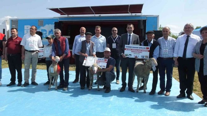 Balıkesir’de Bahar Şenliği’nde Kuzu Ve Oğlaklar Yarıştı