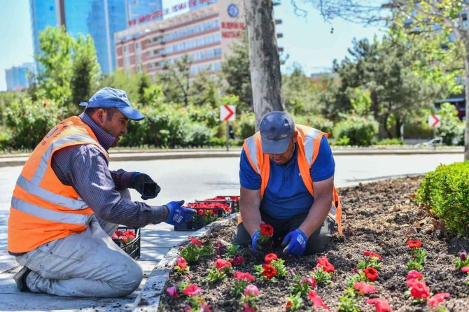 Çiçek Gibi Bir Başkent