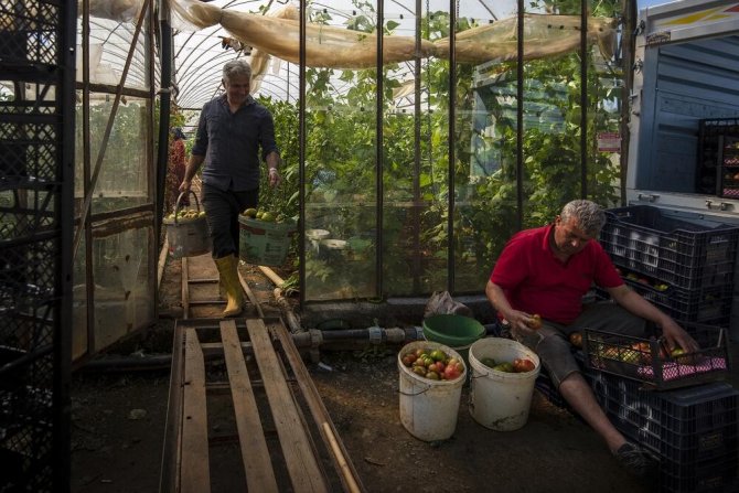 Alanya Belediyesi 16’ncı Uluslararası Fotoğraf Yarışması Sonuçlandı