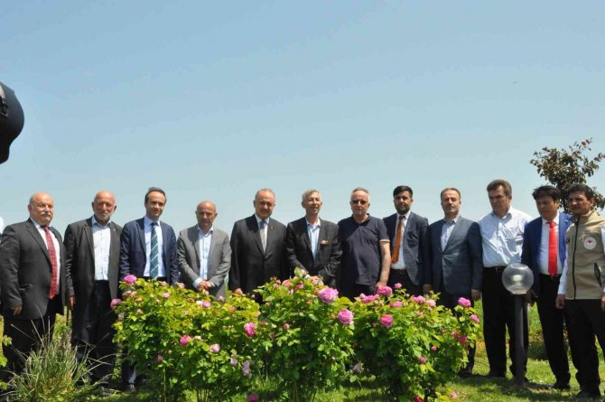 Altınova Belediyesi Tıbbi Aromatik Bitkiler Bahçesi’nde Hasat Zamanı