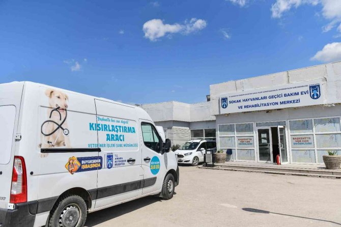 Can Dostlar İçin Türkiye’nin En Kapsamlı Kısırlaştırma Seferberliğini Başlattı